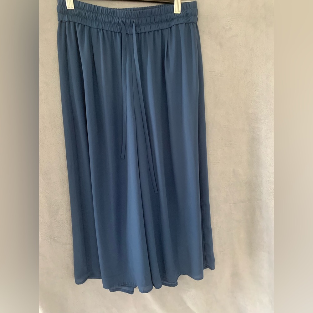 Aritzia Babaton Luiz Culottes Pants